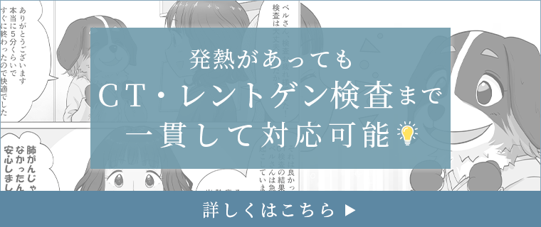 CT・レントゲン検査